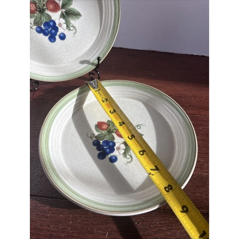 Cera Stone from Mikasa CN120 Berry Bloom Two Luncheon Salad Plates Red Blue‎
